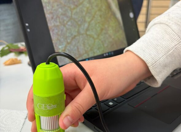 Digitales Mikroskopieren von Blättern